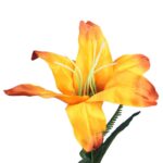 BUKIET 9 JESIENNYCH LILII Z PĄKAMI POMARAŃCZOWY - obrazek 3