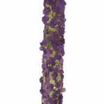 Długa gałązka ozdobnego czosnku w kolorze fioletowym - obrazek 3