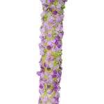 Czosnek, długi, B15-003F - obrazek 2