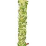 Długa gałązka ozdobnego czosnku w kolorze zielonym - obrazek 2