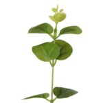 Gałązka Sztucznych Liści Eukaliptusa 80 cm zielona - obrazek 2