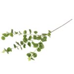 Gałązka Sztucznych Liści Eukaliptusa 80 cm zielona - obrazek 3