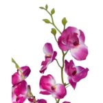 Storczyki Fioletowe w Bukiecie - 5 Sztuk, Dekoracyjne, 36cm - obrazek 3