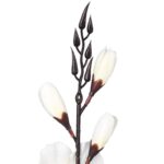 Bukiet 5 gladioli białych - obrazek 3