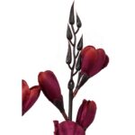 Bukiet 5 gladioli bordowych - obrazek 2