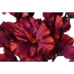 Bukiet 5 gladioli bordowych - obrazek 3