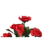 Bukiet 6 różyczek w kolorze czerwonym - obrazek 3