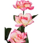 Bukiet 6 różyczek w kolorze łososiowym - obrazek 2