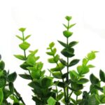 BUKSZPAN BUKIET 7 GAŁĄZEK 34 CM - obrazek 2