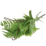 Bukiet 9 PAPROCI Z ODROSTAMI 42 cm - obrazek 3