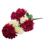 BUKIET 9 DUŻYCH CHRYZANTEM BORDOWO BIAŁYCH - obrazek 3