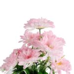 Sztuczny Bukiet Różowych Gerber 9 Sztuk - Elegancki Dekoracja 54cm - obrazek 2