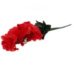 Bukiet 9 GOŹDZIKÓW w kolorze CZERWONYM 54 cm - obrazek 3