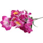 BUKIET 9 KWIATÓW MIX LILIA -AMARYLIS KOLOR FIOLETOWY - obrazek 2