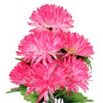 BUKIET 7 CHRYZANTEM RÓŻOWYCH FI 16 CM - obrazek 2