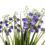 BUKIET 5 GAŁĄZEK Z KONWALIAMI 30 CM KOLOR FIOLETOWY - obrazek 2