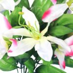 BUKIET 15 CLEMATISÓW JASNO RÓZOWY - obrazek 3