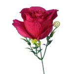 BUKIET 12 RÓŻ ROZWINIĘTYCH BORDOWYCH - obrazek 3