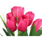 Bukiet 6 TULIPANÓW z trawką 34 cm różowy - obrazek 2