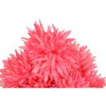 Bukiet 6 dużych chryzantem w kolorze łososiowym 60 cm - obrazek 2