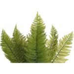 Bukiet Sztucznej Paproci 15 Gałązek - Jest jak Żywa, Wysokość 43 cm, Kolor: Zielony - obrazek 2