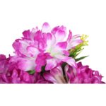 Bukiet 18 chryzantem w kolorze wrzosowym 60 cm - obrazek 2