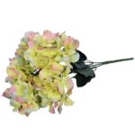 Zielone Hortensje w Bukiecie - 5 Sztuk, Wysokość 45cm - obrazek 2