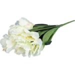 Bukiet 7 TULIPANÓW PAPUZICH 54 cm BIAŁY - obrazek 3