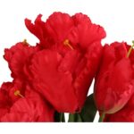 Bukiet 7 TULIPANÓW PAPUZICH 54 cm CZERWONY - obrazek 2