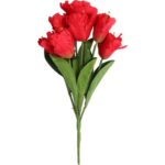 Bukiet 7 TULIPANÓW PAPUZICH 54 cm CZERWONY