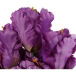 Bukiet 7 TULIPANÓW PAPUZICH 54 cm FIOLETOWY - obrazek 2