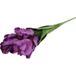 Bukiet 7 TULIPANÓW PAPUZICH 54 cm FIOLETOWY - obrazek 3