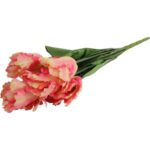 Bukiet 7 TULIPANÓW PAPUZICH 54 cm ŁOSOSIOWY - obrazek 3