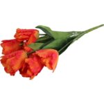 Bukiet 7 TULIPANÓW PAPUZICH 54 cm POMARAŃCZOWY - obrazek 3