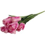 Bukiet 7 TULIPANÓW PAPUZICH 54 cm RÓŻOWY - obrazek 3
