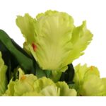 Bukiet 7 TULIPANÓW PAPUZICH 54 cm ZIELONY - obrazek 2
