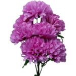 Bukiet 7 dużych chryzantem w kolorze fioletowym - obrazek 3