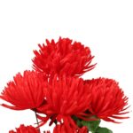 Bukiet 7 chryzantem strzępiastych w kolorze czerwonym - obrazek 2