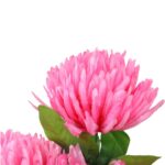 Bukiet 7 dużych chryzantem strzępiastych w kolorze różowym - obrazek 2