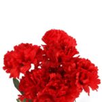 Sztuczne Goździki w Kolorze Czerwonym - Bukiet 7 Sztuk, 32 cm Wysokości - obrazek 2