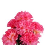 Sztuczne Różowe Goździki - Bukiet 7 Sztuk, Dekoracja o Wysokości 32 cm - obrazek 2