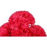 Sztuczny Bukiet 7 Dużych Chryzantem Ciemnoróżowy - Dekoracja na Wszystkich Świętych - obrazek 2