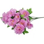 BUKIET 9 PIWONII - obrazek 3