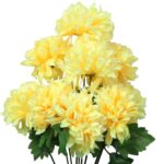 Bukiet 9 chryzantem, BUK9-ZBRZ - obrazek 2