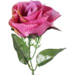 Bukiet 12 róż w kolorze ciemno-różowym z dodatkami - obrazek 2