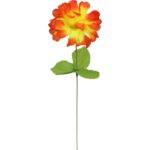 Chryzantema pojedynczy kwiat z listkiem w kolorze pomarańczowym