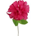 Chryzantema pojedynczy kwiat z listkiem w kolorze różowym - obrazek 2