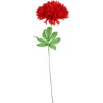 CHRYZANTEMA POJEDYKA CZERWONA FI 22CM - obrazek 2