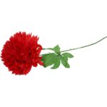 CHRYZANTEMA POJEDYKA CZERWONA FI 22CM - obrazek 3