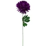 CHRYZANTEMA POJEDYKA FIOLETOWA  FI 22CM - obrazek 2